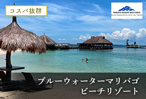 �u���[�E�H�[�^�[�}���o�S�r�[�`���]�[�g