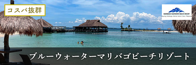 �u���[�E�H�[�^�[�}���o�S�r�[�`���]�[�g