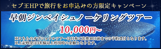 �����W���x�C�V���m�[�P�����O�c�A�[