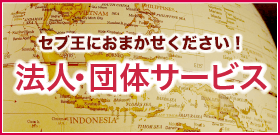 �@�l�E�c�̃T�[�r�X