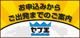 ���\���݂��炲�o���܂ł̂��ē�